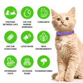 FurLife Pheromone Calming Collar for Cats — Natural Stress Relief