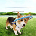 Guiding Bumper Collar Harness for Blind Dogs — Mobility Aid