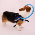 Guiding Bumper Collar Harness for Blind Dogs — Mobility Aid